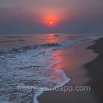 Avatar de Melina Bravo